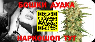 прущие крисы Аргун